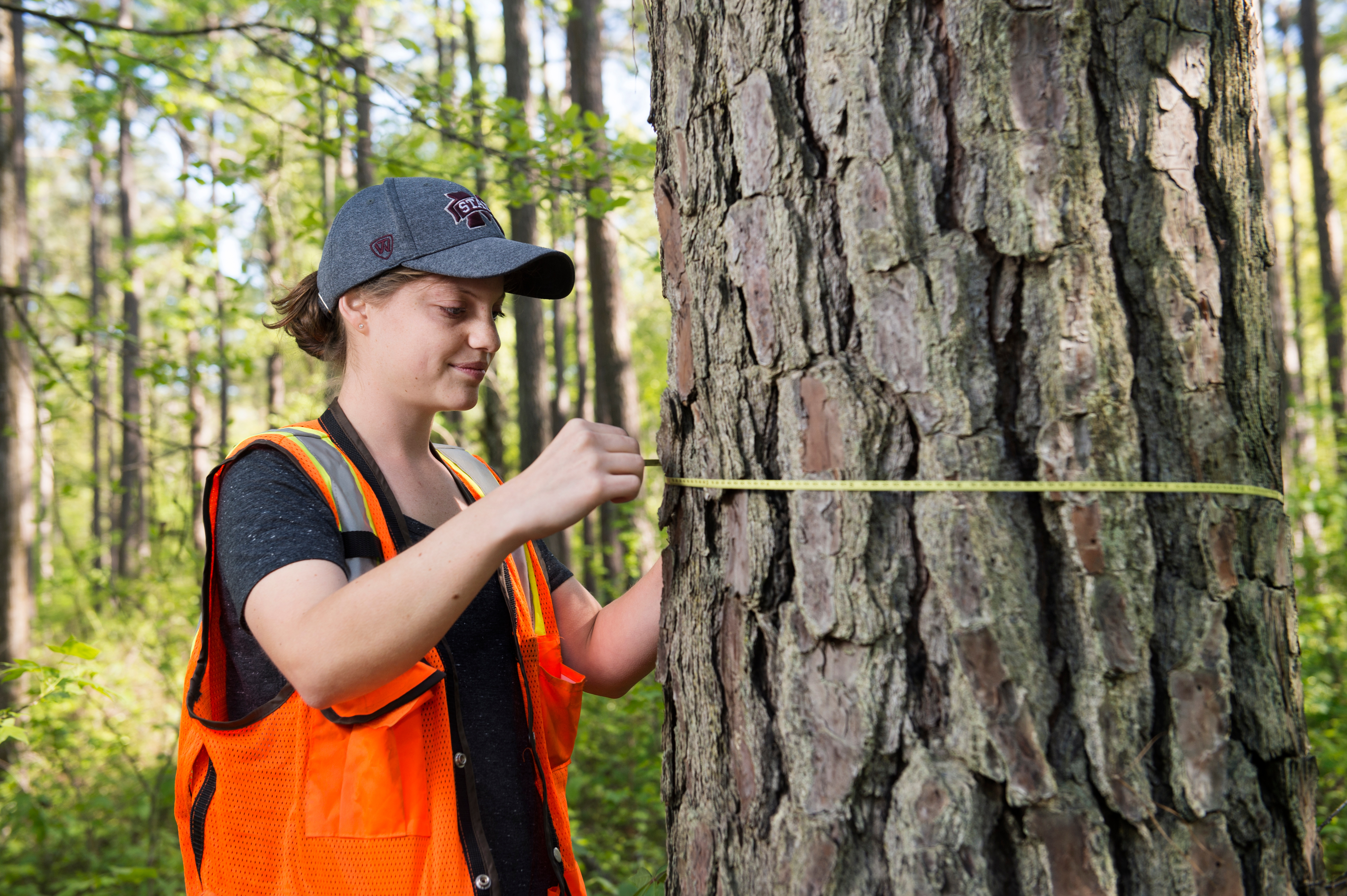 Samantha Seamon measuring tree