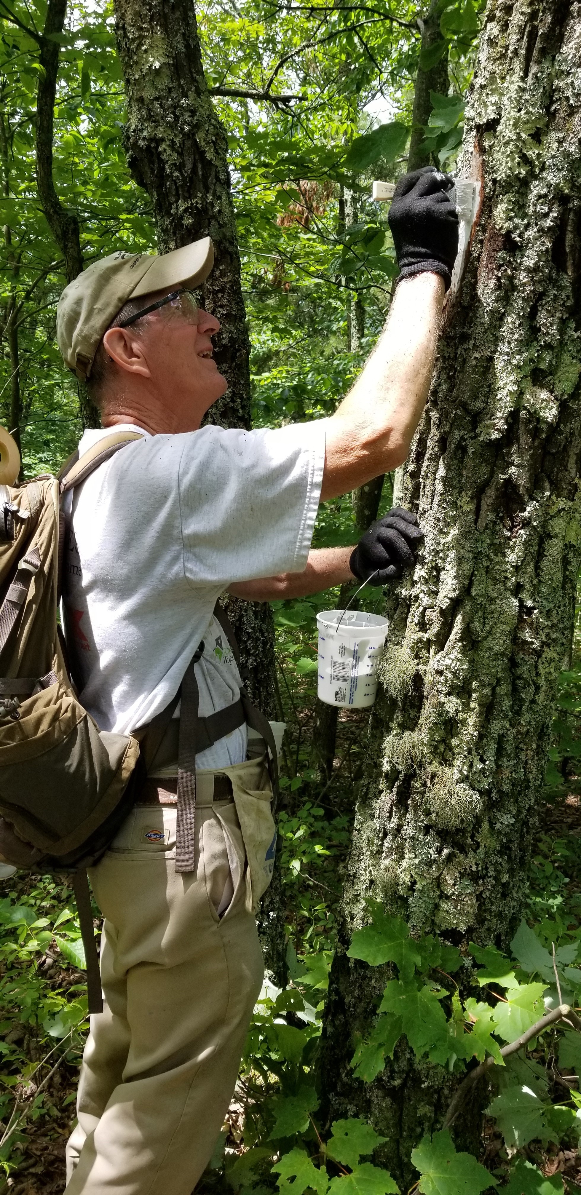 Lee Spradlin on the Appalachian Trail 