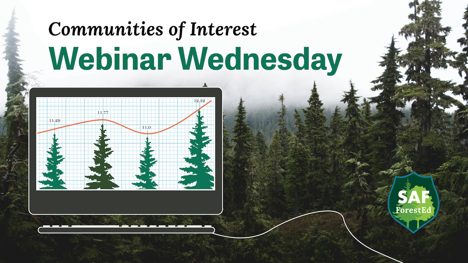 Webinar: Creating Digital Forest Twins