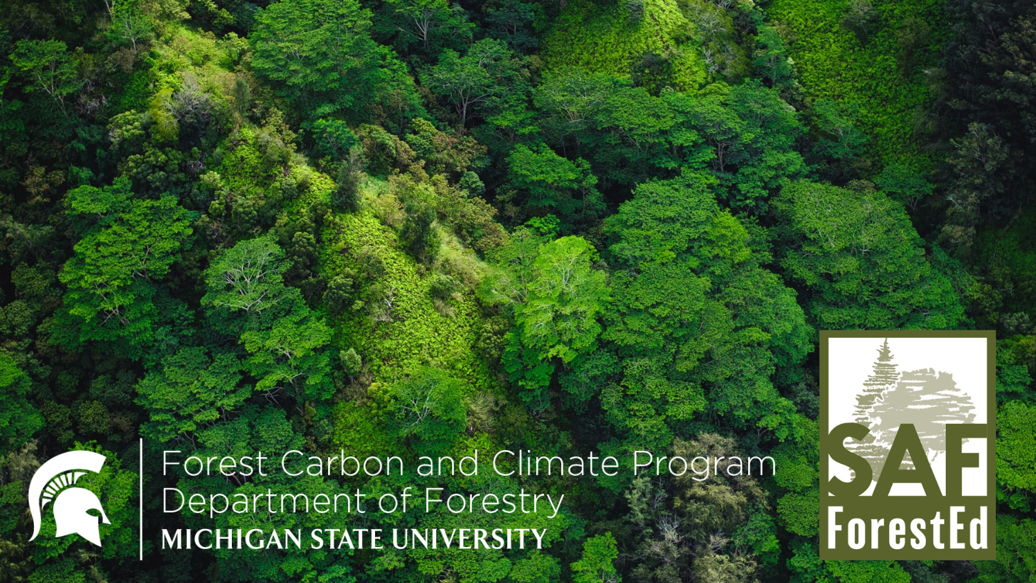 Forest Carbon Markets and Initiatives Short Course