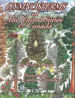 Gymnosperms of the United States and Canada
