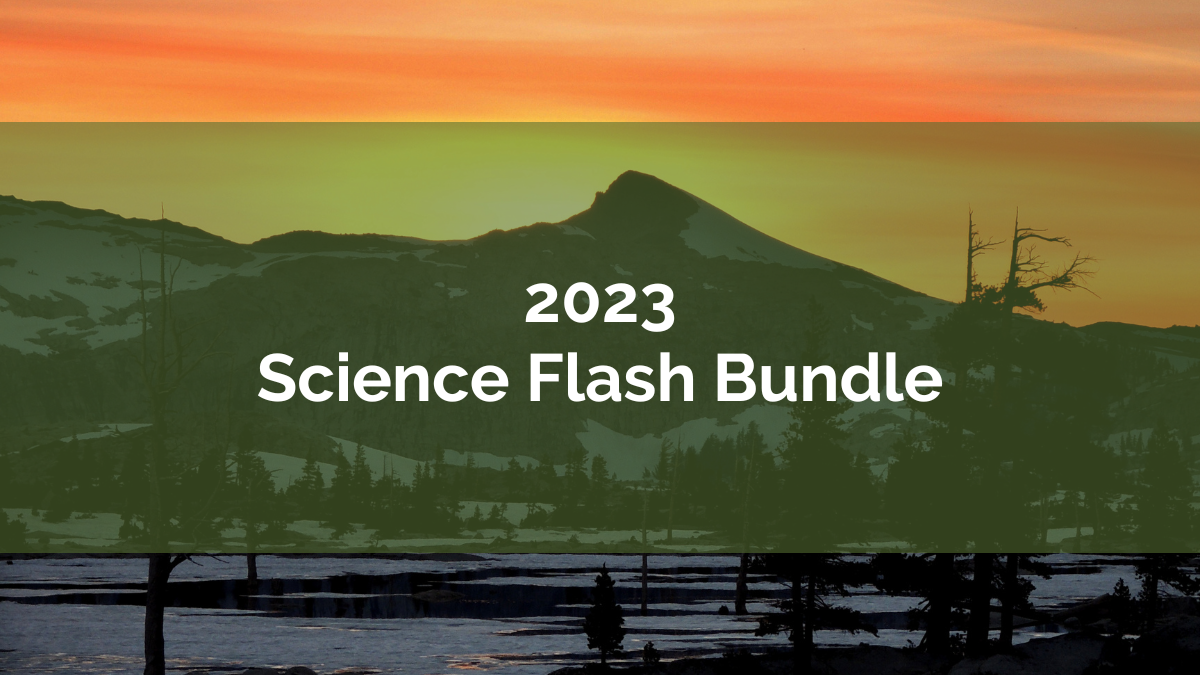 2023 Science Flash Bundle